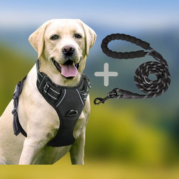 HARNAIS ANTI TRACTION CHIEN | ChienChic™