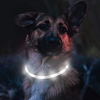 Collier lumineux pour chien | LightColar™