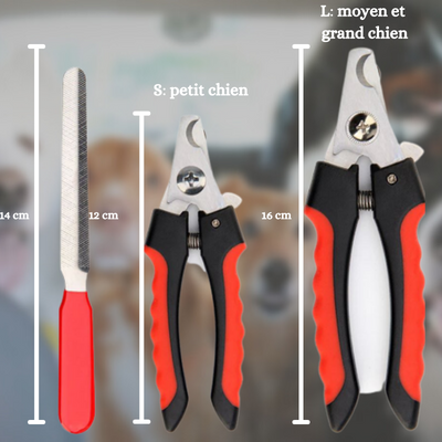 Coupe ongle pour chien | Nail-clippers™