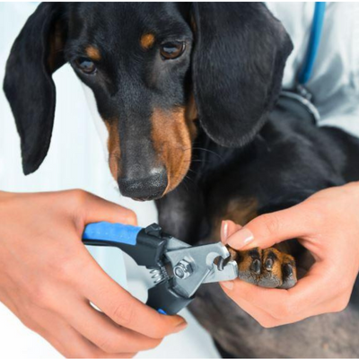 Coupe ongle pour chien | Nail-clippers™