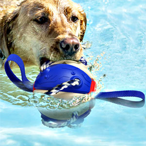 LZCXDS Jouets pour animaux de compagnie, balle frisbee, jouet pour chien,  frisbee jouet pour animaux de
