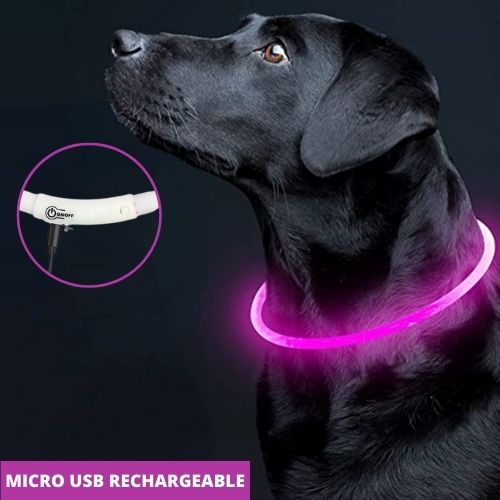 Collier lumineux pour chien | LightColar™