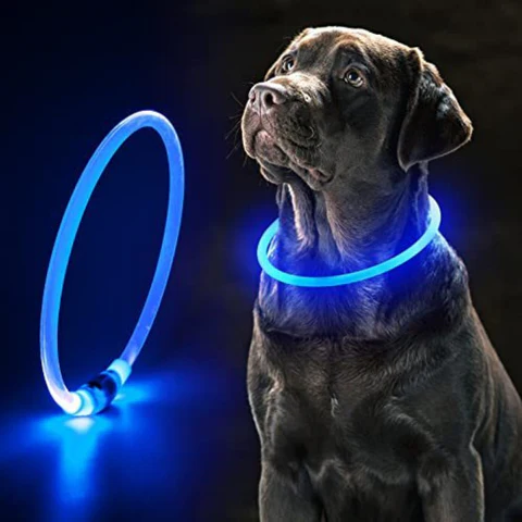 Collier lumineux pour chien | LightColar™